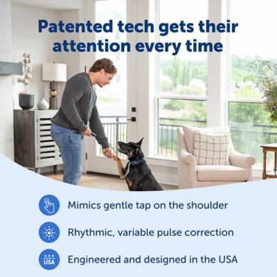 Image showing  Basic Dog Trainer with Remote