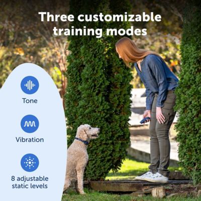 Image showing  Basic Dog Trainer with Remote