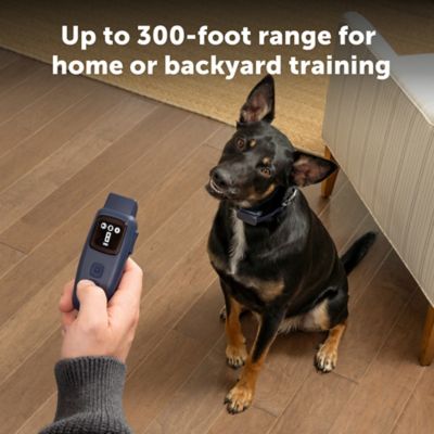 Image showing 6 th PetSafe Basic Dog Trainer with Remote