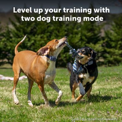 Image showing  Core Dog Trainer Add-A-Dog