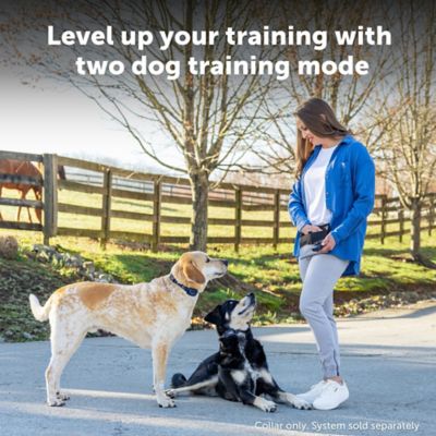 Image showing  Pro Dog Trainer Add-A-Dog
