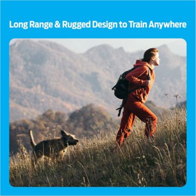 Image showing  Dog Trainer with Rechargeable Battery