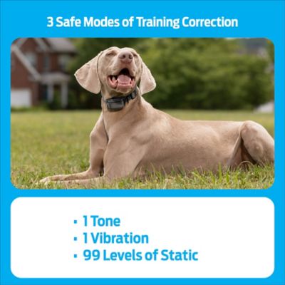 Image showing  Dog Trainer with Rechargeable Battery
