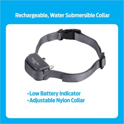 Image showing 6 th Premier Pet Dog Trainer with Rechargeable Battery