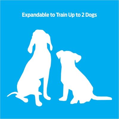 Image showing 8 th Premier Pet Dog Trainer with Rechargeable Battery