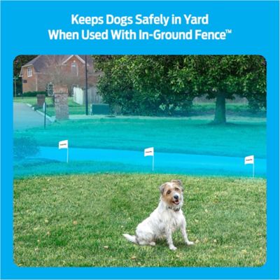 Image showing  In-Ground Add-A-Dog