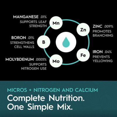 Image showing  1 Quart (0.95L) Base B Two-Part Nutrient Solution Liquid Plant Fertilizer Fruiting & Flowering Plants 0-4-4 1-Pack