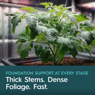 Image showing  55 Gallon (208.20L) Base A Two-Part Nutrient Solution Liquid Plant Fertilizer Fruiting & Flowering Plants 4-0-2 1-pk.