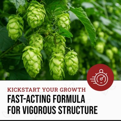 Image showing  5.28 gal. (20L) Original Liquid Plant Fertilizer with Silica Biomix 1-3-1, 1 pk.