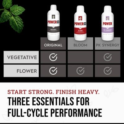 Image showing  16.91 oz. (500 mL) Original Liquid Plant Fertilizer with Silica Biomix 1-3-1 (1-Pack)