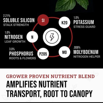 Image showing  8.45 oz. (250ml) Original Liquid Plant Fertilizer with Silica Biomix 1-3-1, 1 pk.