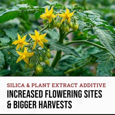 Image showing  1.1 lb. (500ml) Bloom Liquid Plant Fertilizer Flowering Plants, 1 pk.