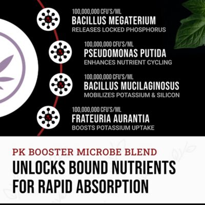 Image showing  8.45 oz. (250ml) PK Synergy Liquid Plant Fertilizer Bloom Phase Microbial Inoculant, 1 pk.