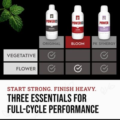 Image showing  2.2 lb. (1L) Bloom Liquid Plant Fertilizer Flowering Plants (1-Pack)