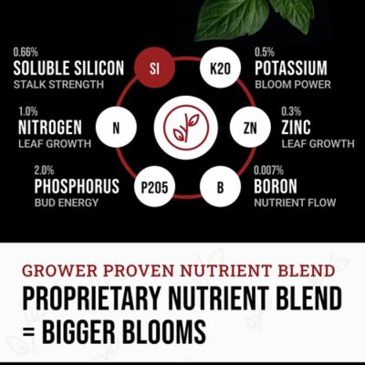 Image showing  0.55 lb. (250ml) Bloom Liquid Plant Fertilizer Flowering Plants (1-Pack)