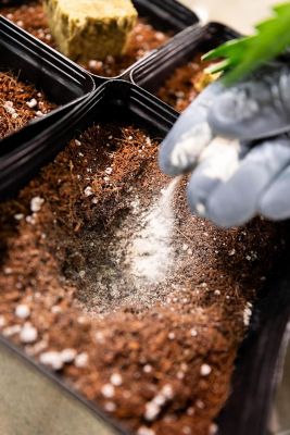 Image showing  2 lb. (0.91kg) Power Start Dry Plant Supplement with Mycorrhizae and Nitrogen-Fixing Bacteria, 1 pk.