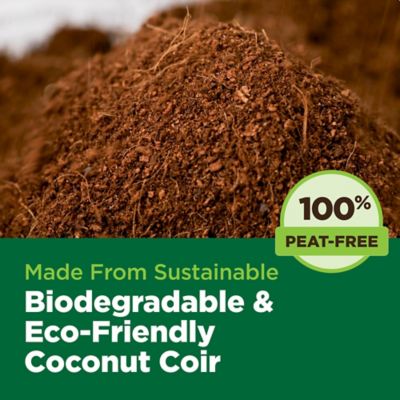 Image showing  78 ct. The Coco Coin Compressed 100% Coco Coir Propagation Plugs for Seed Starting and Rooting Cuttings, 1 pk.
