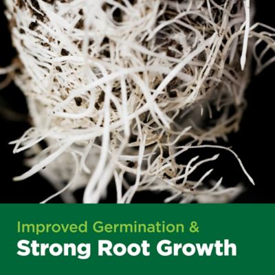 Image showing  78 ct. The Coco Coin Compressed 100% Coco Coir Propagation Plugs for Seed Starting and Rooting Cuttings, 1 pk.