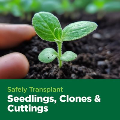 Image showing 7 th Char Coir 78 ct. The Coco Coin Compressed 100% Coco Coir Propagation Plugs for Seed Starting and Rooting Cuttings, 1 pk.