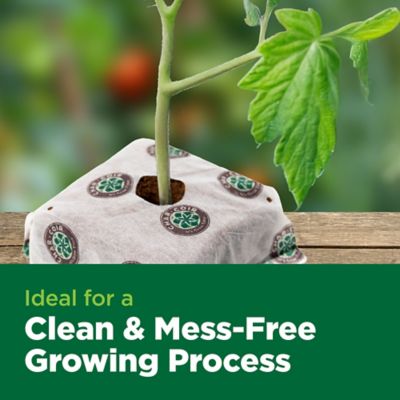 Image showing  32-Count Coco Cube 1-Gal RHP Certified Compressed Coco Coir Growing Medium for Vegetative & Flowering (1-Pack)