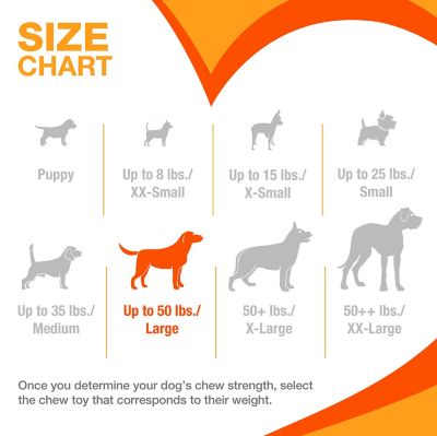 Image showing  Real Ingredient Chew Toys L/XL Bundle - Wishbone, Femur, Giant, Textured Ring