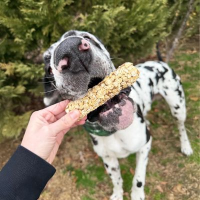 Image showing  Chewalicious Layered 'N Dipped Rawhide-Free Natural Crunchy Chews Oat (2 Count)