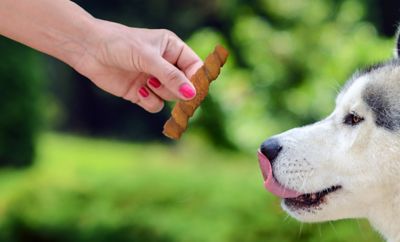 Image showing  Chewalicious Layered 'N Dipped Rawhide-Free Natural Crunchy Chews Peanut (2 Count)