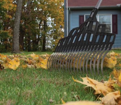 Image showing  Multi Purpose Lawn Rake