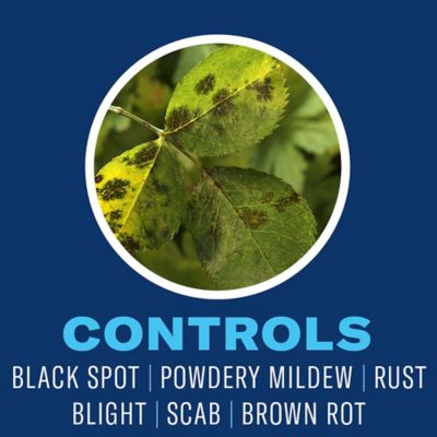 Image showing  Fruit & Vegetable Insect Control Ready-to-Use