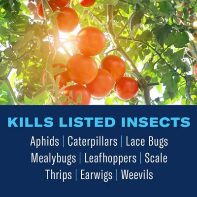 Image showing  Organic Tomato, Vegetable & Fruit Ready-to-Use