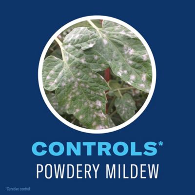 Image showing  Organic Tomato, Vegetable & Fruit Ready-to-Use