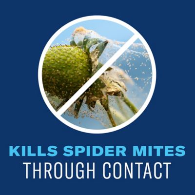 Image showing  Organic Tomato, Vegetable & Fruit Ready-to-Use