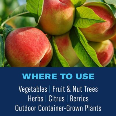 Image showing  Organic Tomato, Vegetable & Fruit Ready-to-Use