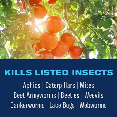 Image showing  Fruit & Vegetable Insect Control Concentrate