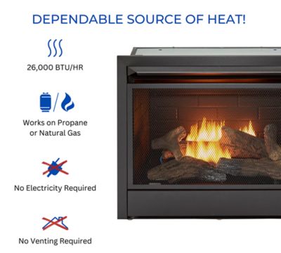 Image showing  Natural Gas Ventless Gas Fireplace Insert - 26,000 BTU, T-Stat Control - Model# FNF300T