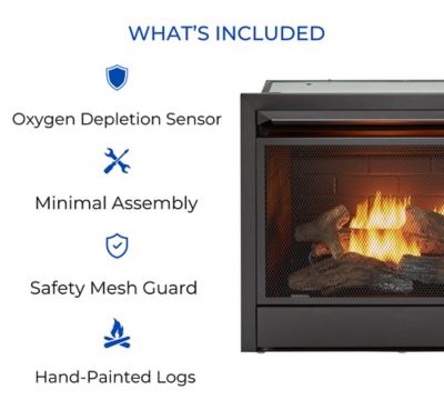 Image showing  Natural Gas Ventless Gas Fireplace Insert - 26,000 BTU, T-Stat Control - Model# FNF300T