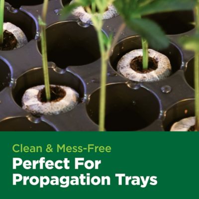 Image showing  78 ct. Coco Coin Compressed 100% Coco Coir Propagation Plugs for Seed Starting and Rooting Cuttings, 27-Case