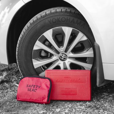 Image showing  Truck Deluxe Bag Kit, 30 Repairs (8 in.), 4.75 in. Probe