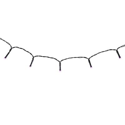 Red Shed 12 x 4in. 20-Light Indoor Battery-Powered LED Halloween String Lights with Timer, Purple