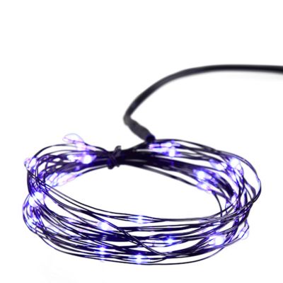 Red Shed 12 x 4in. 30-Light Indoor Battery-Powered LED Halloween String Lights with Timer, Purple