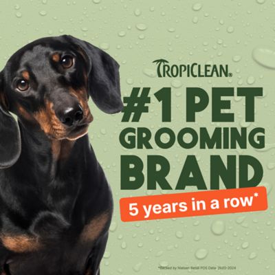 Image showing 5 th TropiClean Papaya Mist Deodorizing Pet Spray, 4 oz.
