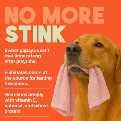 Image showing 6 th TropiClean Papaya Mist Deodorizing Pet Spray, 4 oz.