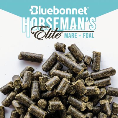 Image showing  Horseman's Elite Mare & Foal, 50 lb. Bag