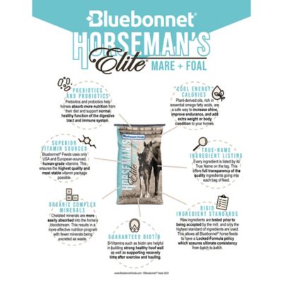 Image showing  Horseman's Elite Mare & Foal, 50 lb. Bag