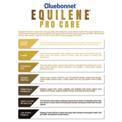 Image showing  Equilene Pro Care, 50 lb. Bag