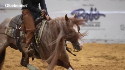 Image showing  Intensify Total Advantage, 50 lb. Bag