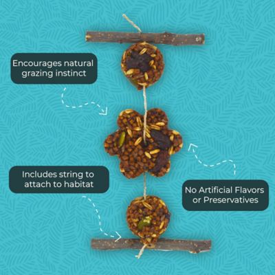 Image showing  Grazing Snack for Birds