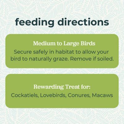 Image showing  Grazing Snack for Birds