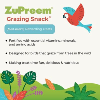 Image showing  Grazing Snack for Birds