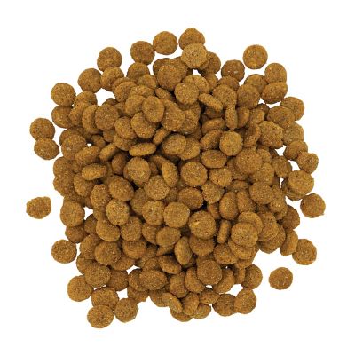 Image showing  Barn Cat All Life Stages Dry Cat Food